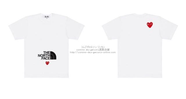 THE NORTH FACE Tシャツ