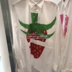 cdgshirt-23ss-fk-b011