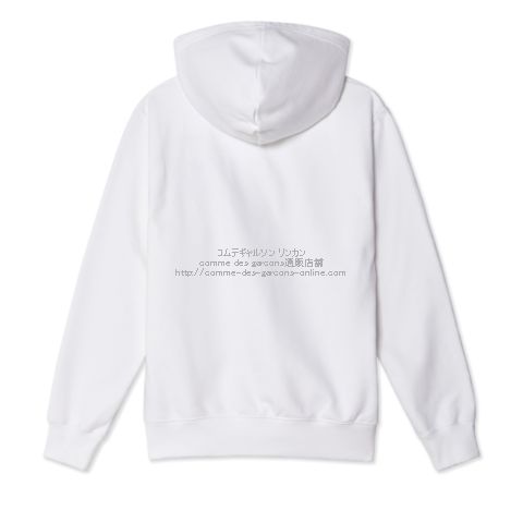 CDG × THE NORTH FACE ICON HOODIE