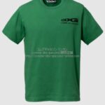 cdg-24aw-dyeingtee-green