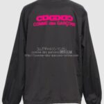 cdg-sz-j041