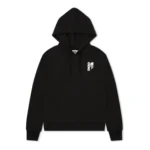 コムデギャルソンCDG × ザ ノース フェイス 限定フーディー・パーカー-26SS